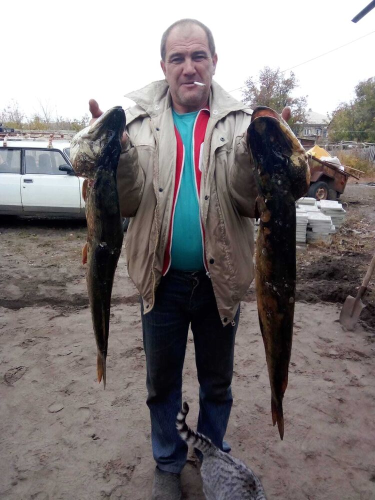 ���������� ����� �������, ���� ������� ������, 50 ���, ������������ ��� c�������� ���������, ���������