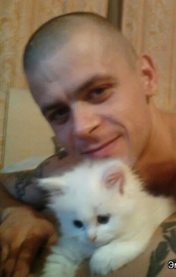 ���������� ���������, ���� ������� �����, 38 ���, ������������ ��� ����� � ���������, c�������� ���������