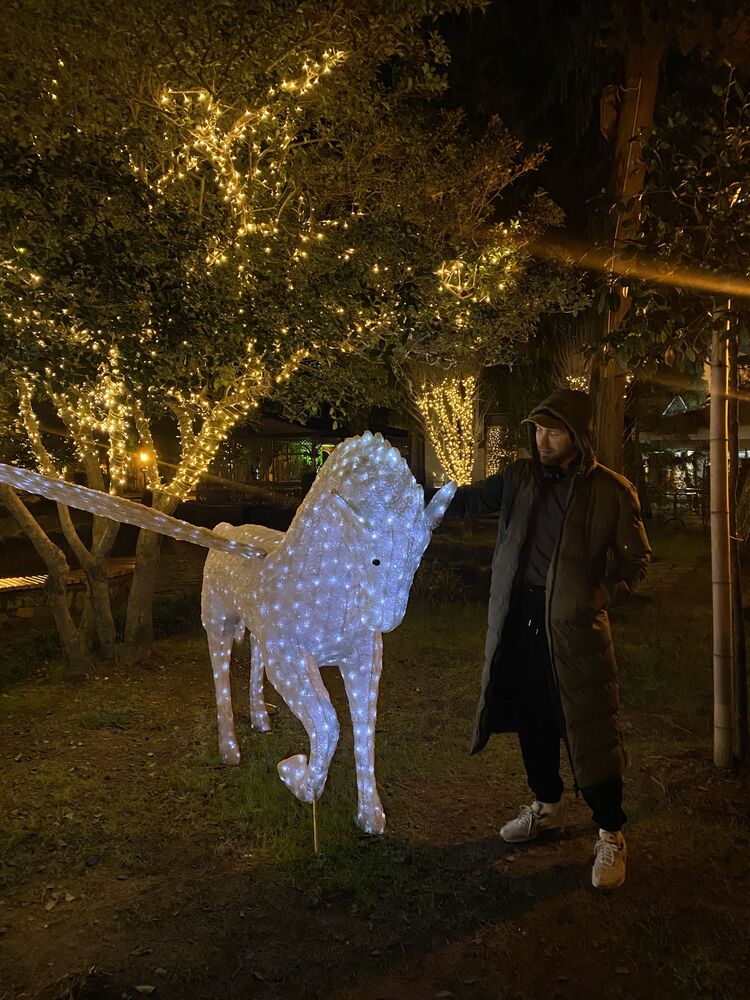  ,   , 33 ,  