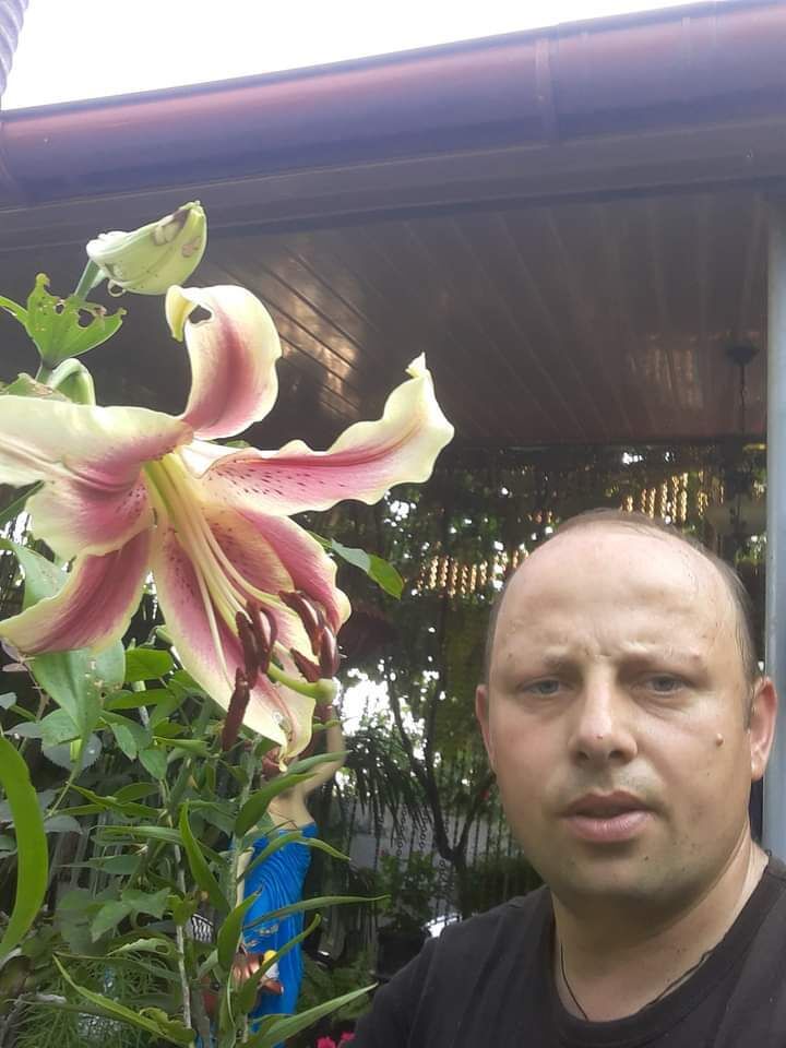  37445790  , 43 ,    