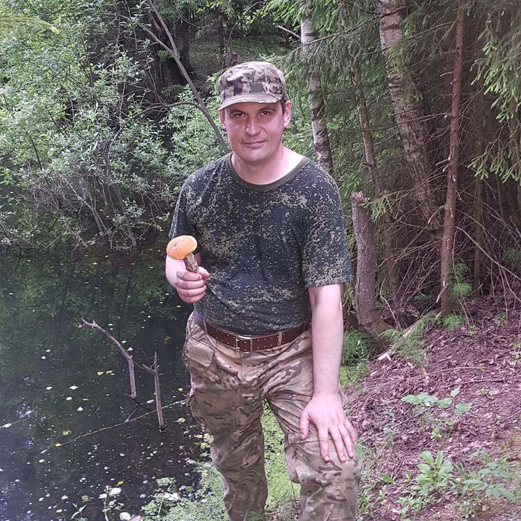 ���������� ������, ���� ������� �����, 46 ���, ������������ ��� ������, ����� � ���������, c�������� ���������