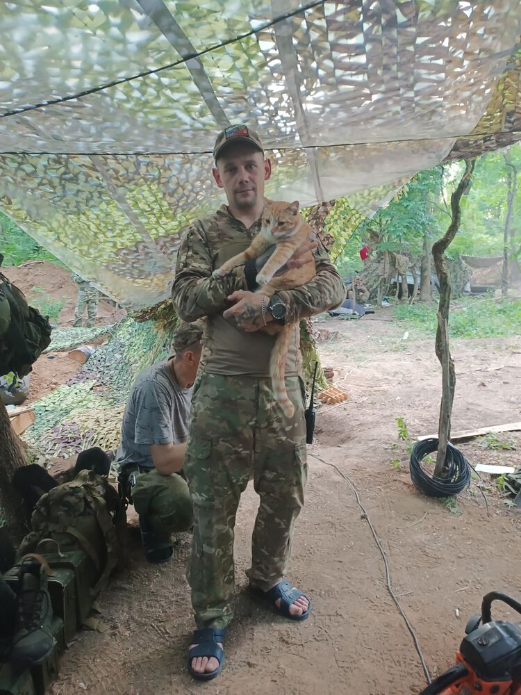 ���� 43718620 ������� �����, 39 ���, ���� ���������� � �������������