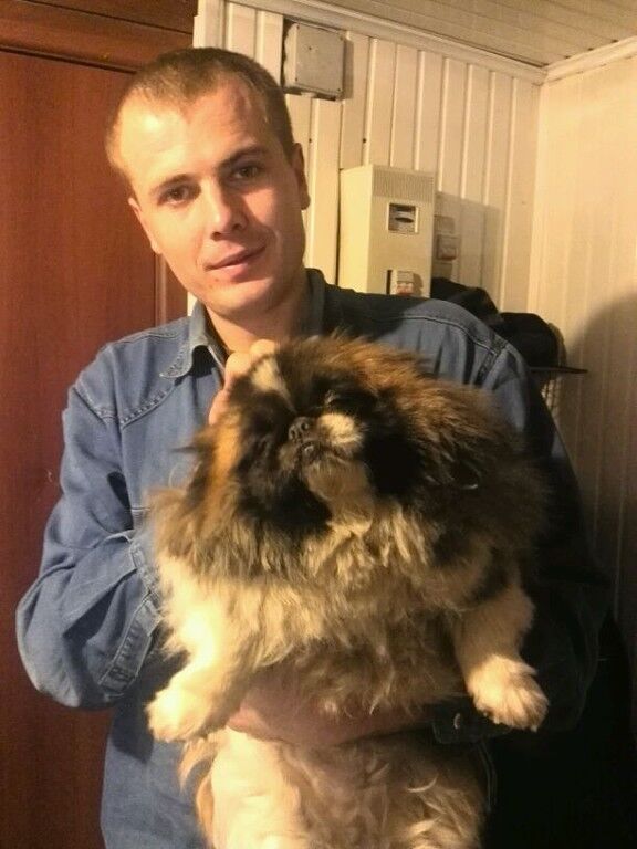 ���� 6854420 ������� �����, 35 ���, ���� ���������� � �������