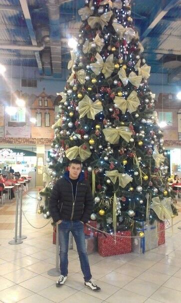  ,   Tema, 33 ,   , 