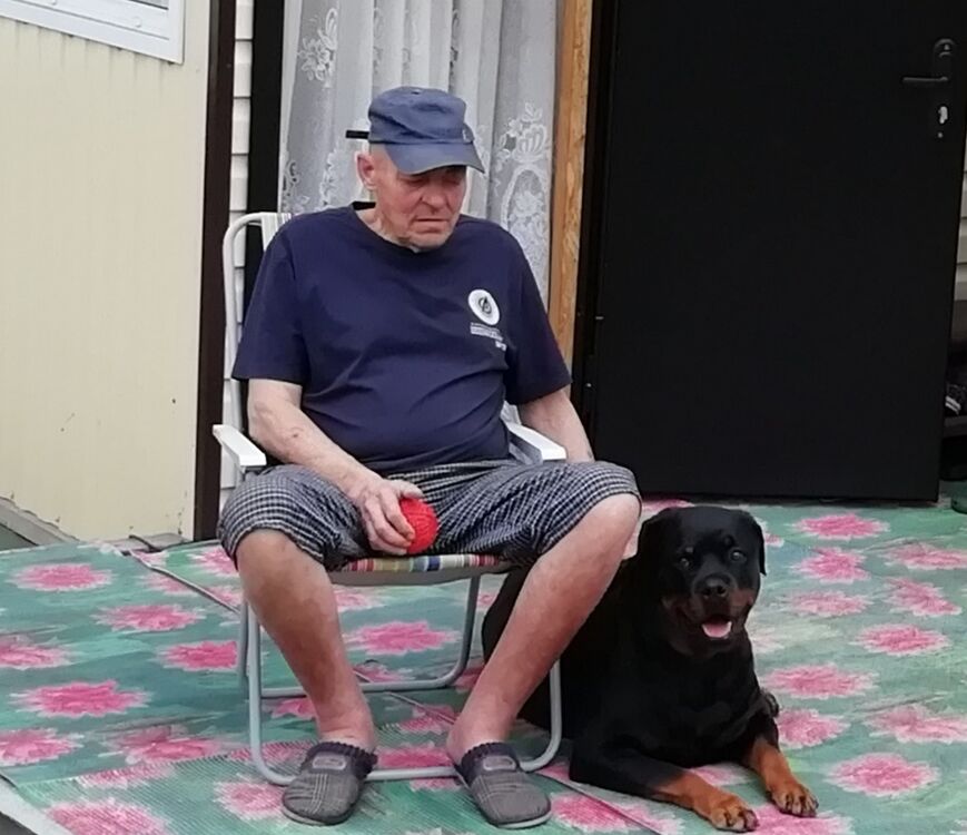 ���� 55421450 ������� �������, 53 ����, ���� ���������� � ������������