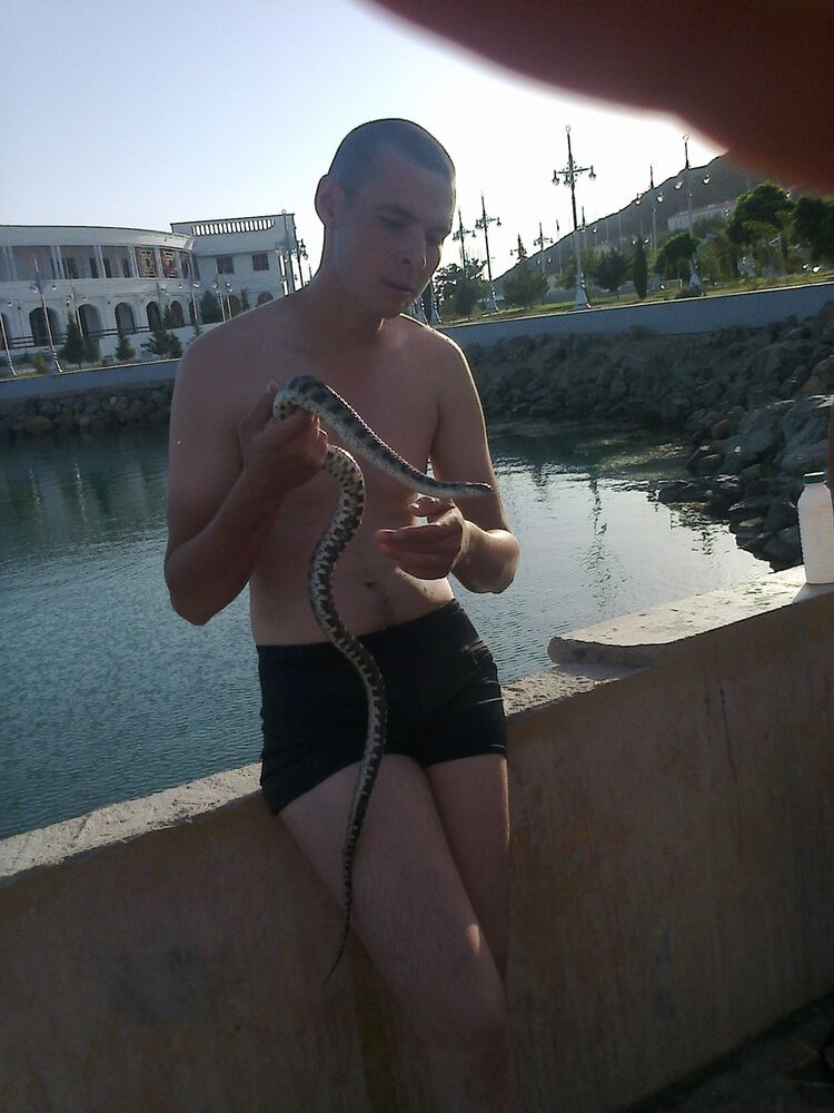 ���������� �������, ���� ������� Vegas, 36 ���, ������������ ��� ������, ����� � ���������, c�������� ���������