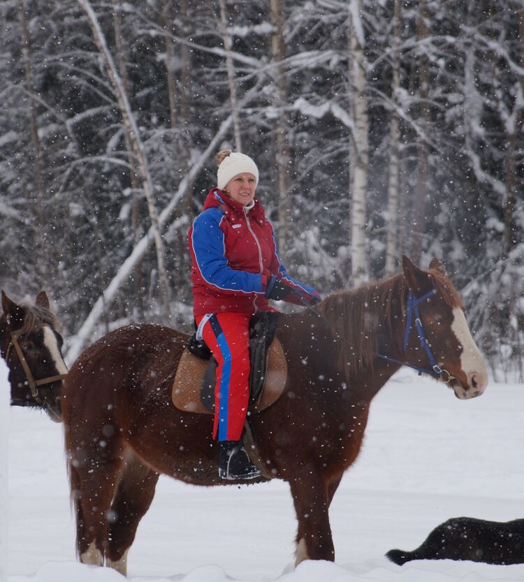 ���������� ������, ���� ������� ������, 43 ����, ������������ ��� c�������� ���������