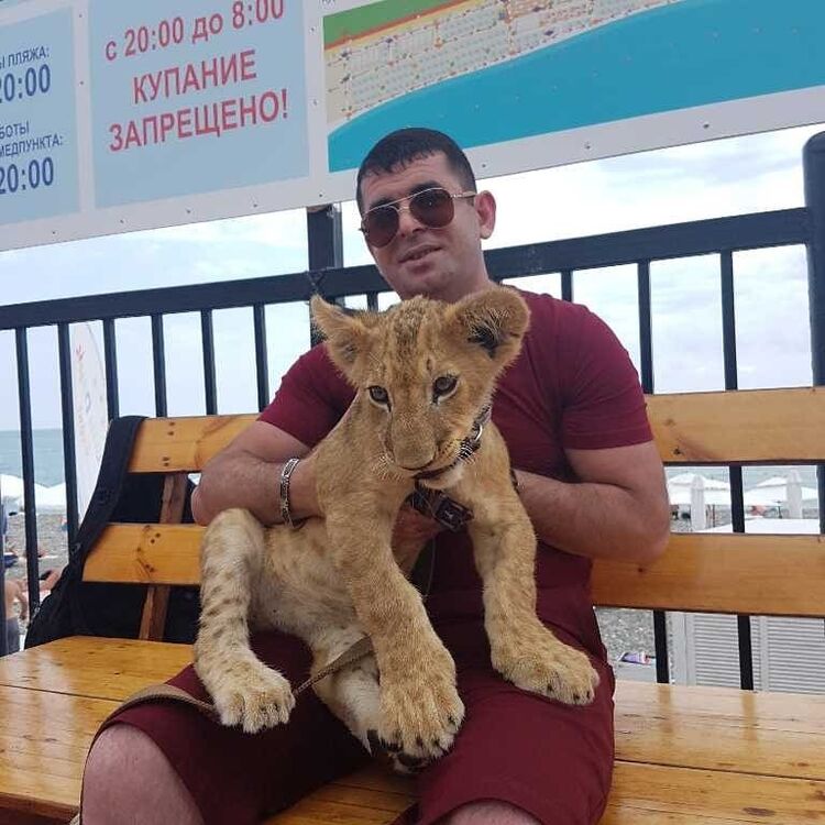 ���� 36302000 ������� �����, 42 ����, ���� ���������� � ������