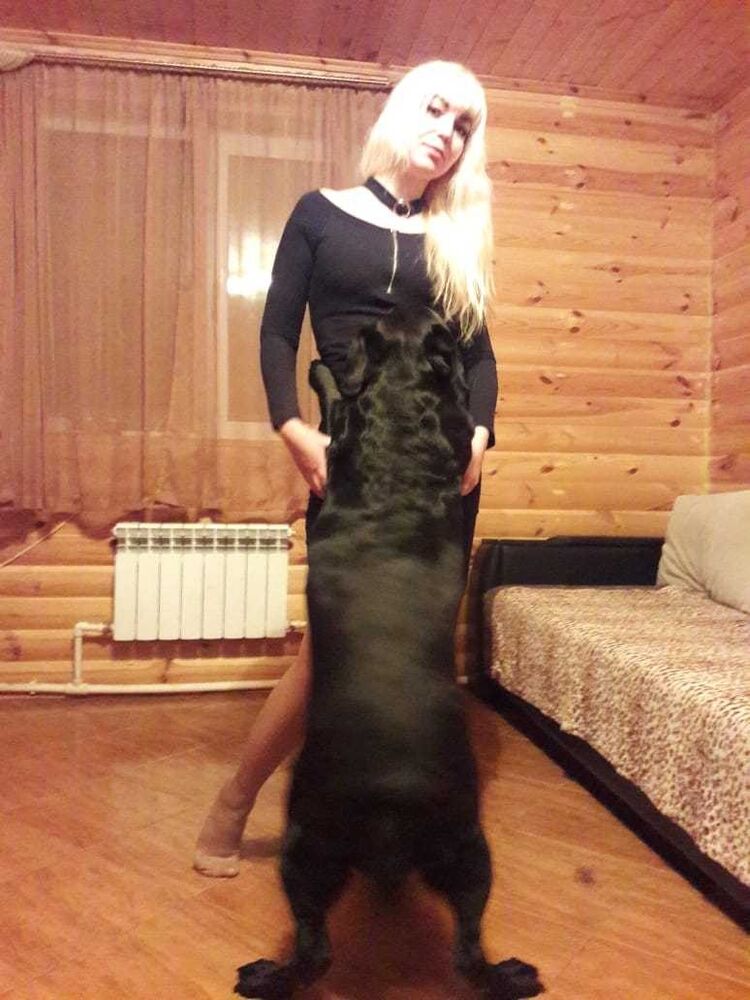   ,   Ledi, 38 ,   ,   , c 