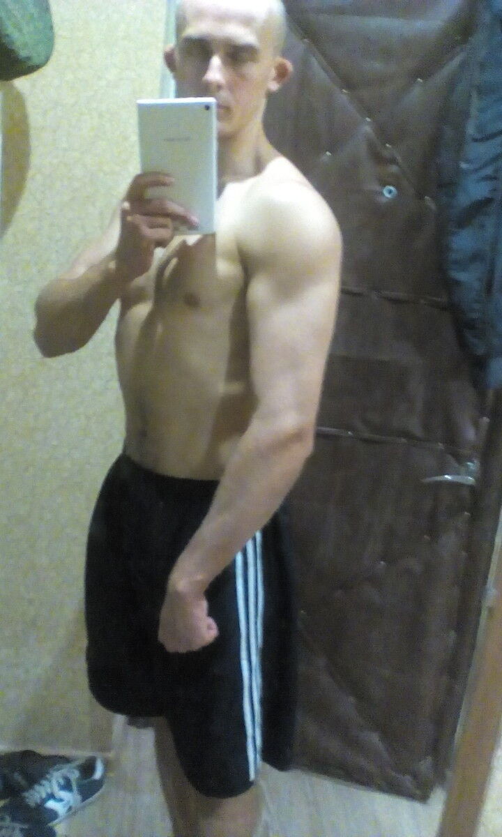  8562880  , 29 ,    