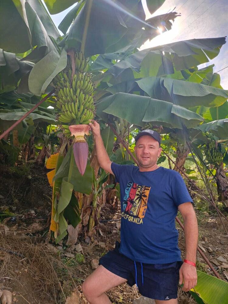 ���� 42574200 ������� ������, 40 ���, ���� ���������� � ���