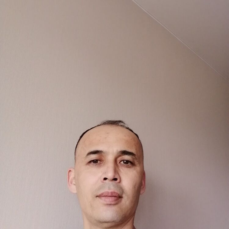  52504490  , 41 ,    