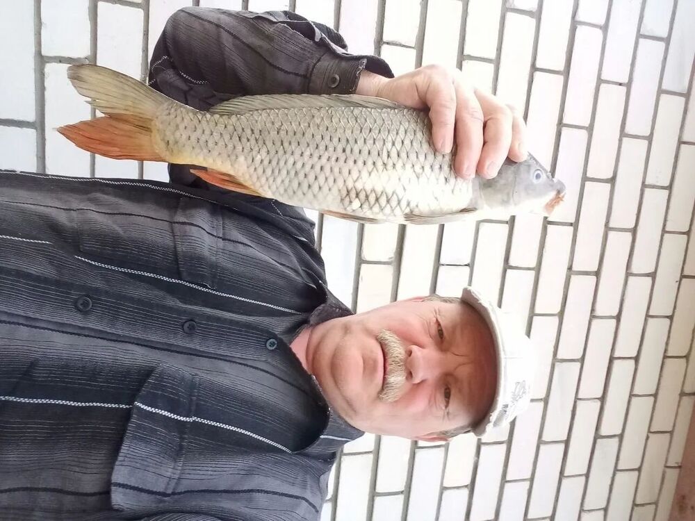 ���������� ���������, ���� ������� ����, 66 ���, ������������ ��� ������, ����� � ���������, c�������� ���������, ���������