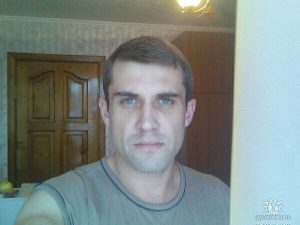  53782680  , 50 ,    