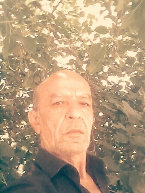  21551590  Colak, 65 ,    