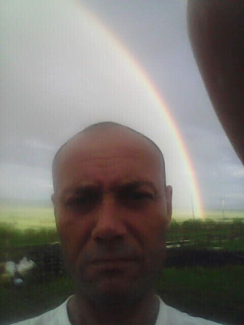  27292460  , 49 ,    