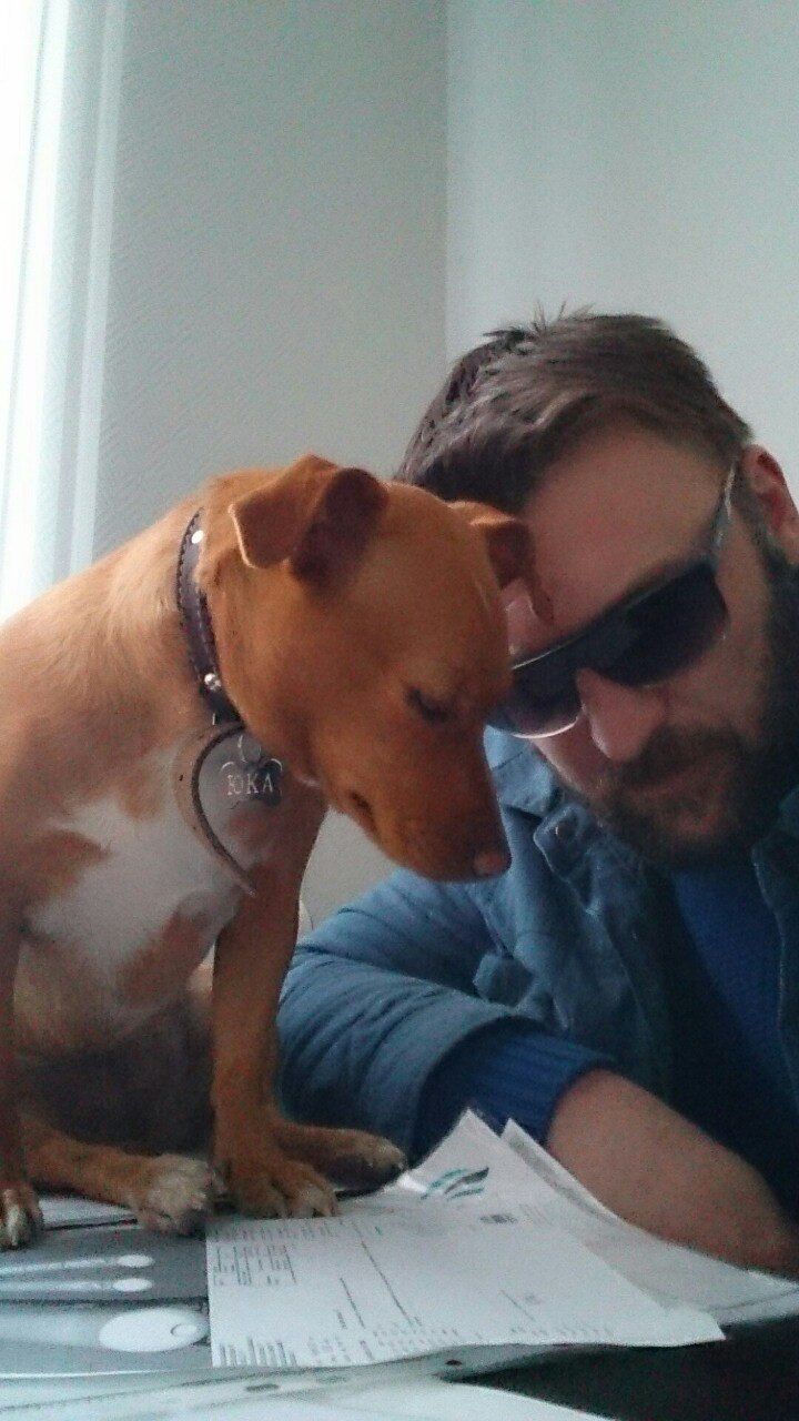 ���������� �����-���������, ���� ������� ��� ��� ���, 52 ����, ������������ ��� ������, ����� � ���������