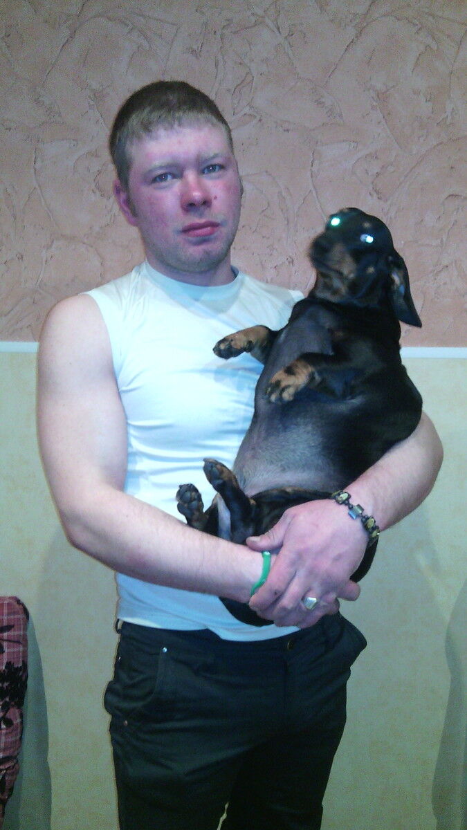 ���� 4297120 ������� �����, 36 ���, ���� ���������� � �����-����������