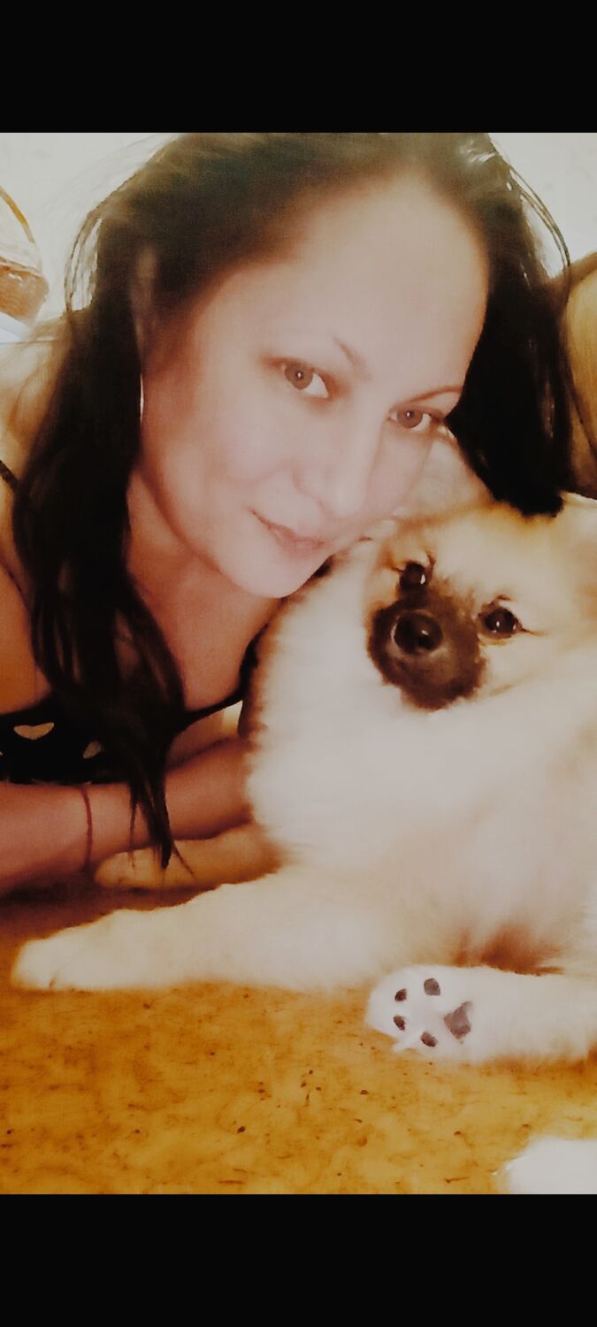 ���� 50075550 ������� ���, 40 ���, ���� ���������� � ������������