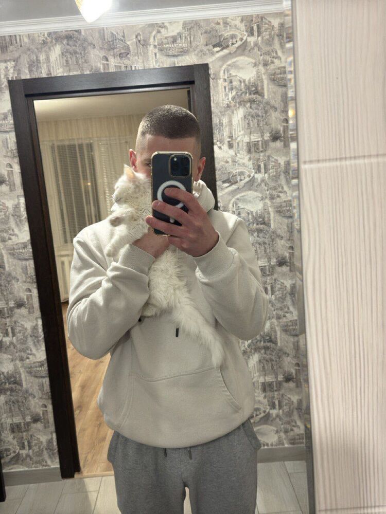  49697270  , 22 ,    