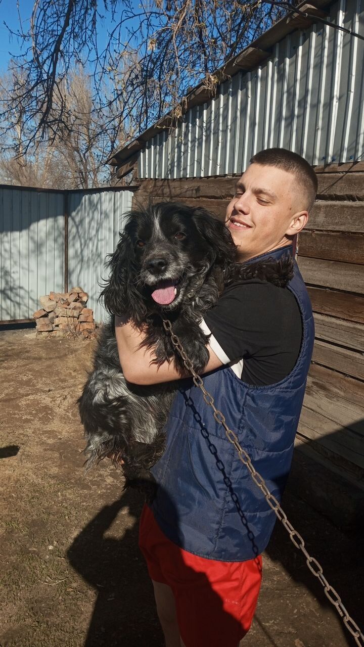  ,   , 20 ,   ,   , 