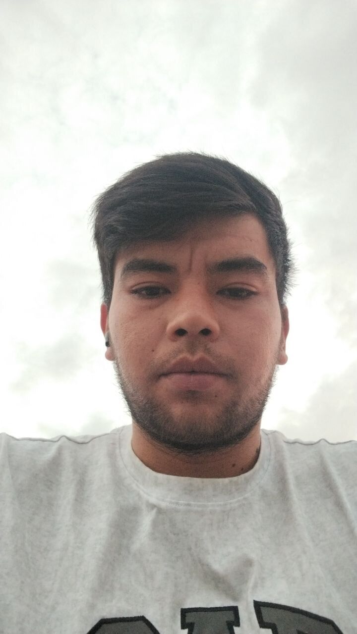  44979910  , 25 ,    