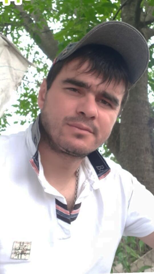  33286910  , 41 ,    