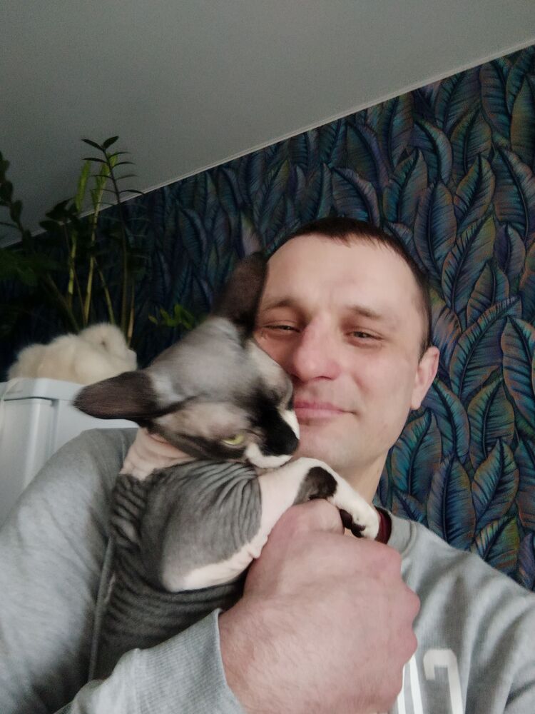 ���������� �������, ���� ������� Sasha, 41 ���, ������������ ��� ����� � ���������, c�������� ���������, ���������