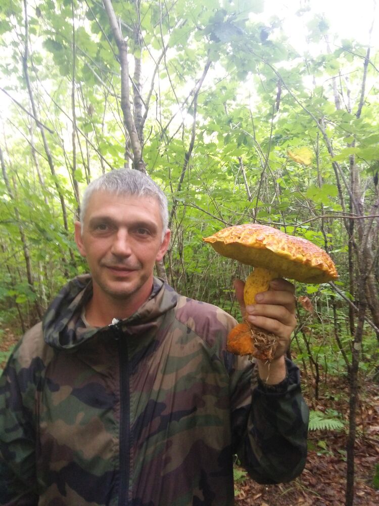  ,   , 44 ,     , c 