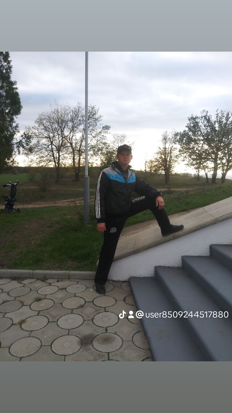  40499860  , 43 ,    