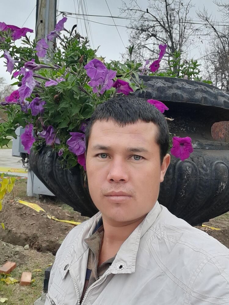 ���� 33531490 ������� Nadirbek, 38 ���, ���� ���������� � ���������