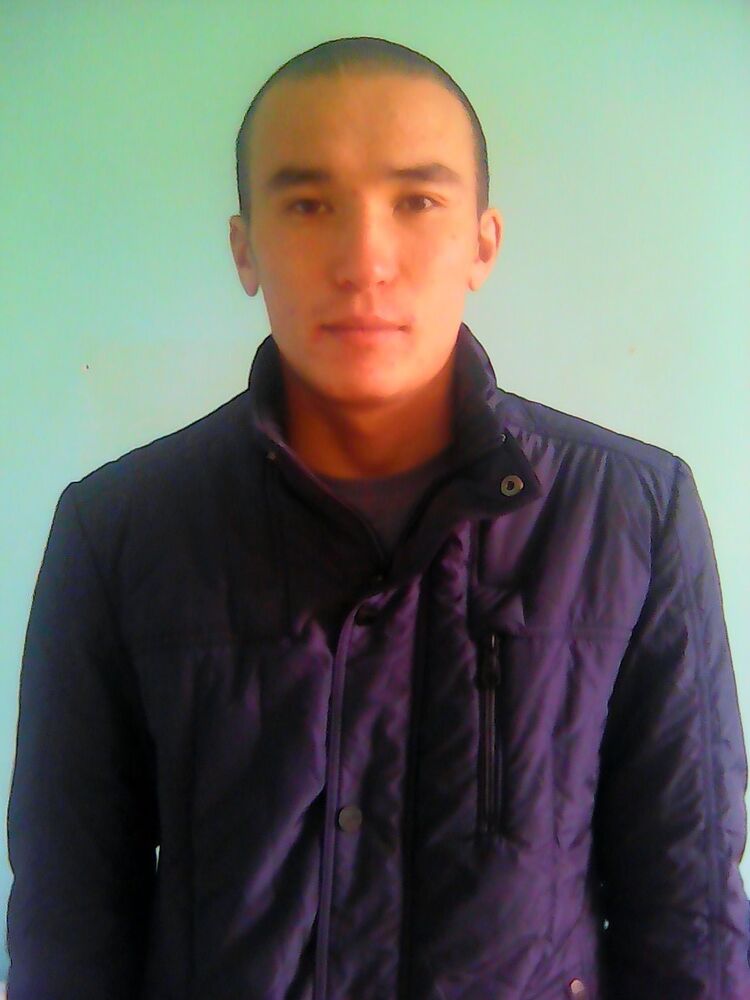  8185950  , 31 ,    -