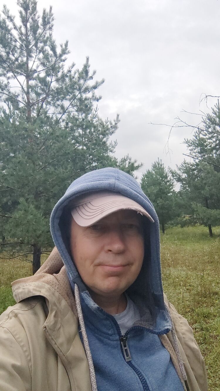  53323580  , 50 ,    