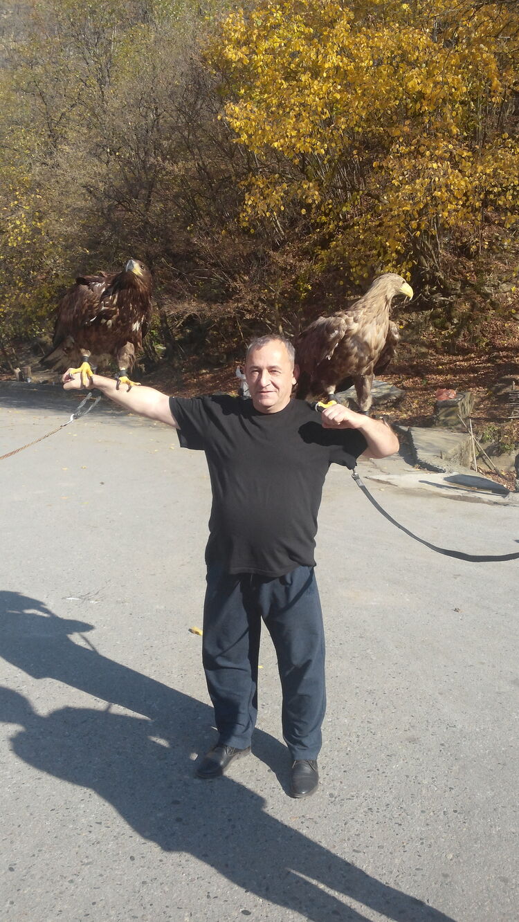  ,   , 51 ,   ,   