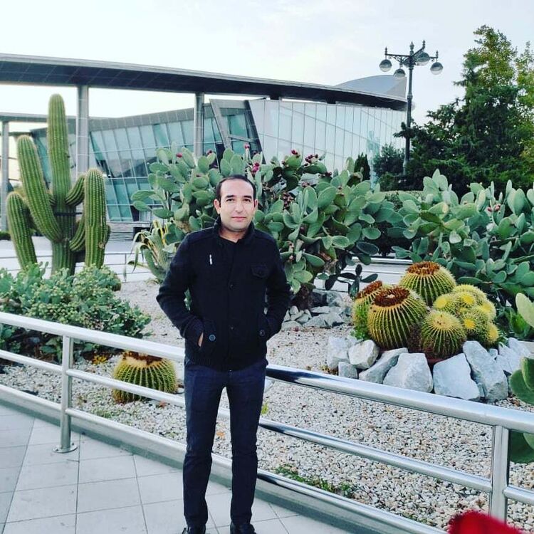  ,   , 43 ,   ,   