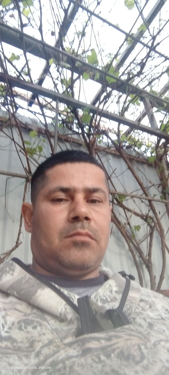  35151040  , 44 ,    