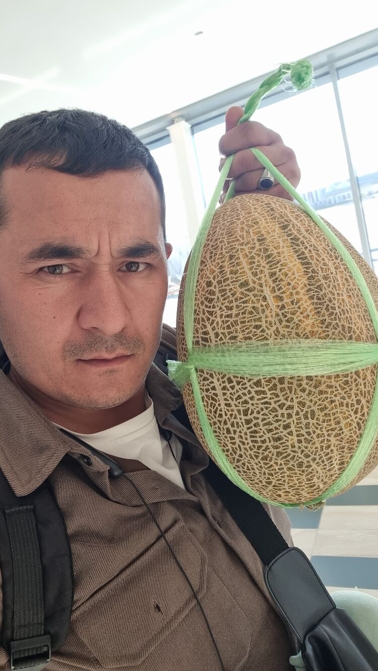 ���� 47054350 ������� ����, 34 ����, ���� ���������� � ����-����������