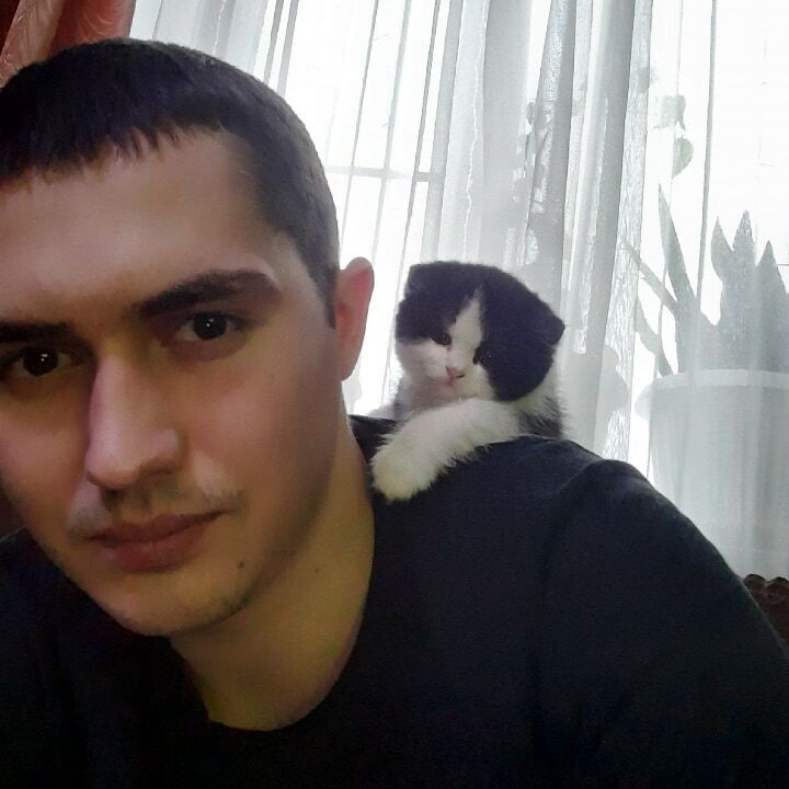 ���������� �����, ���� ������� �����, 33 ����, ������������ ��� ������, ����� � ���������