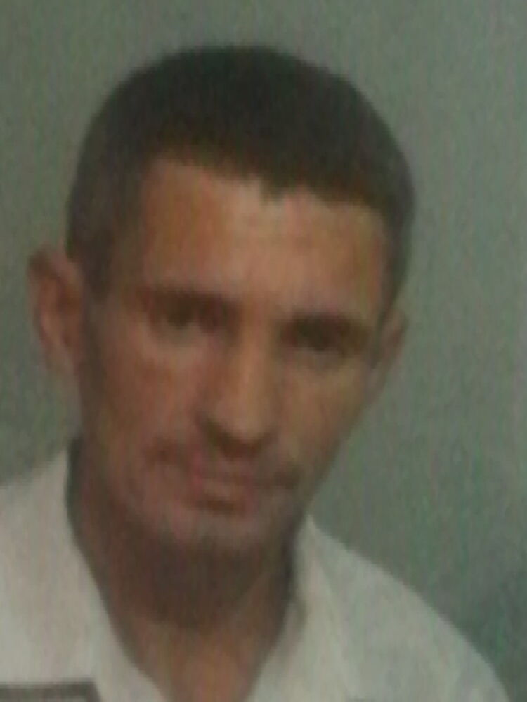 ���� 17585010 ������� ����, 44 ����, ���� ���������� � ������