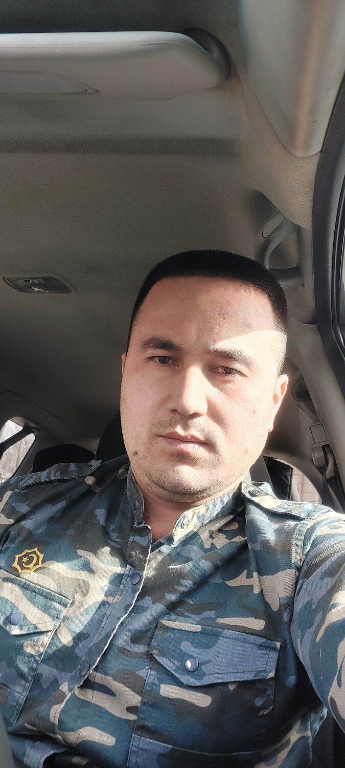  42393880  , 33 ,    