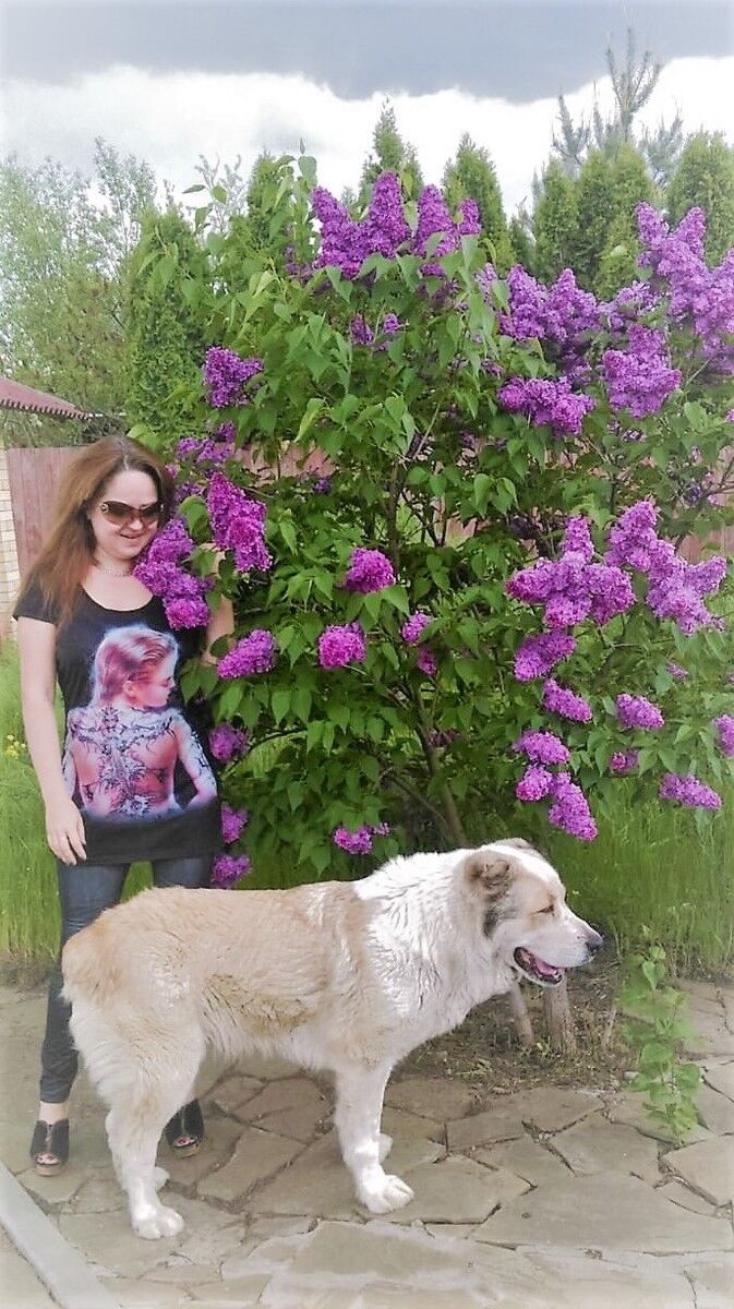  9467450  , 47 ,    --