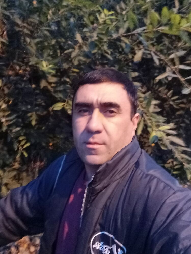  53372530  , 37 ,    