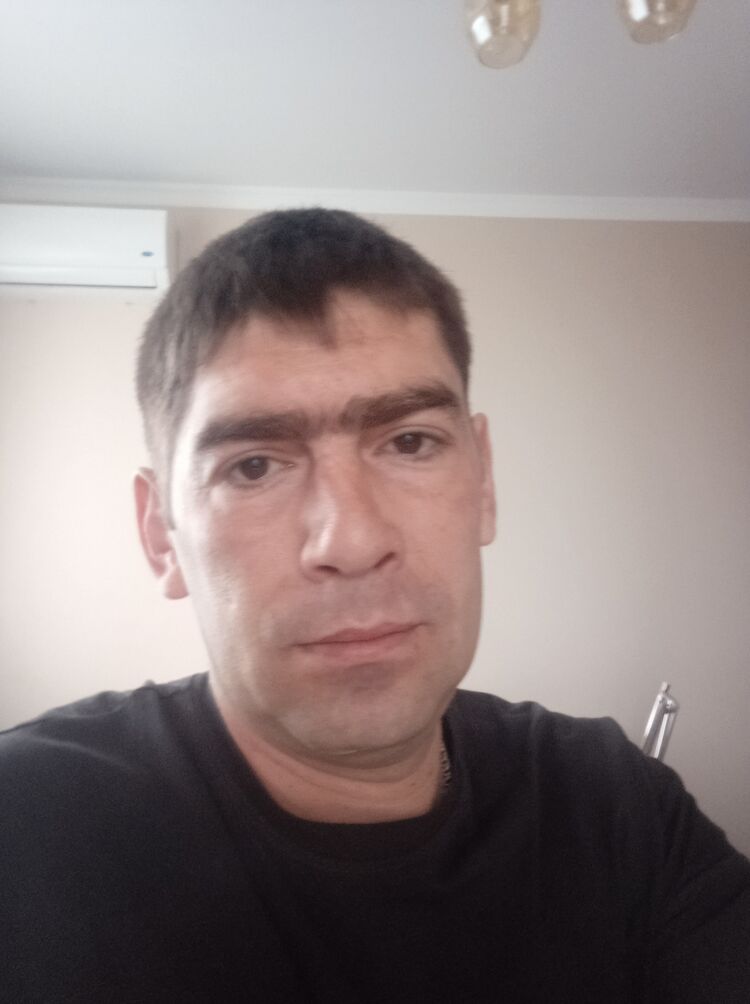  33803190  , 41 ,    