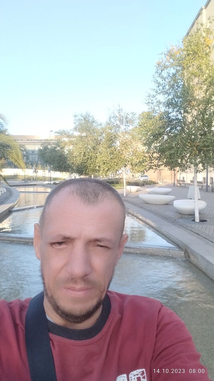  41131540  , 43 ,     