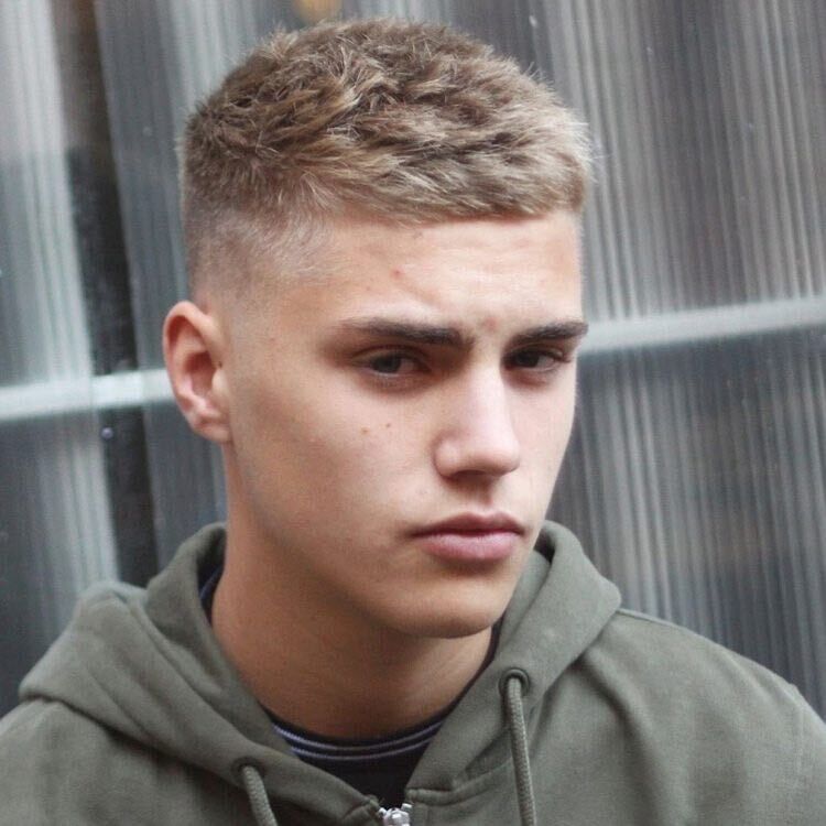 ���� 24080130 ����� ������, 24 ����, ���� ���������� � ������