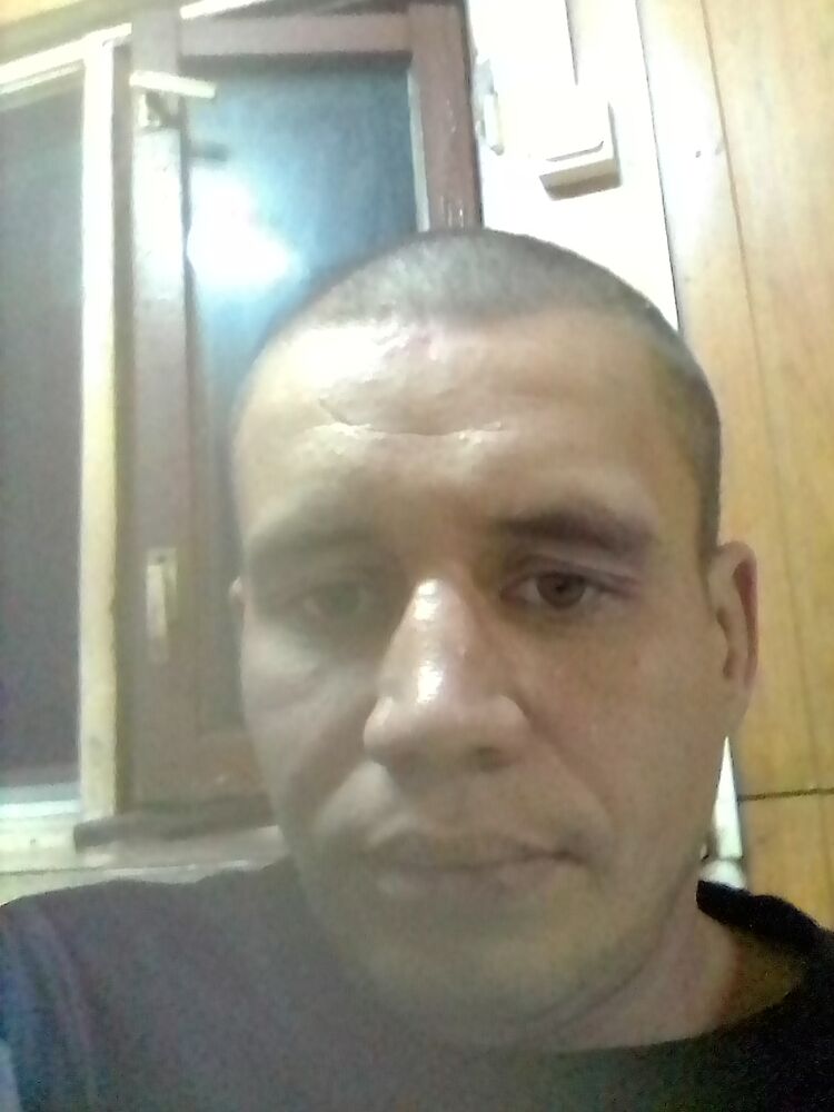  24827390  , 38 ,    