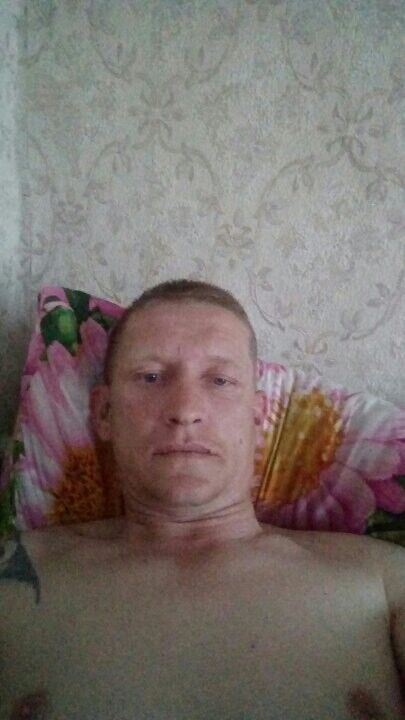  9545890  , 43 ,    
