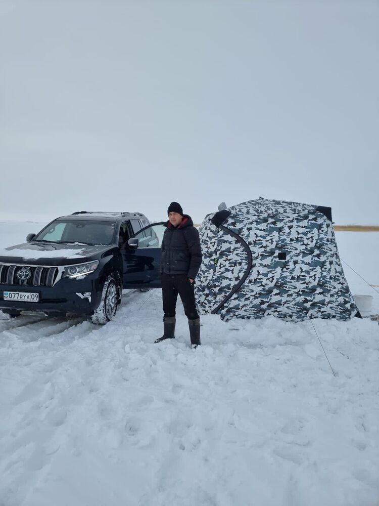 ���� 31684440 ������� �����, 40 ���, ���� ���������� � ��������