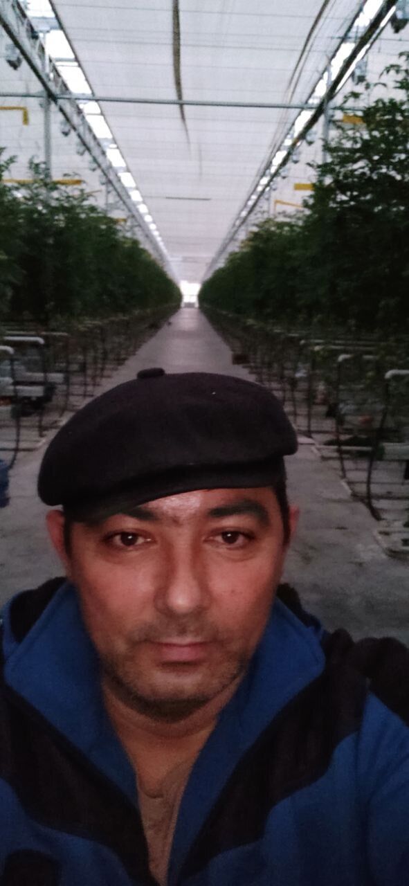 ���� 56011250 ������� �����, 44 ����, ���� ���������� � ��������