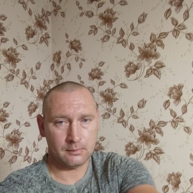  37818950  , 33 ,    